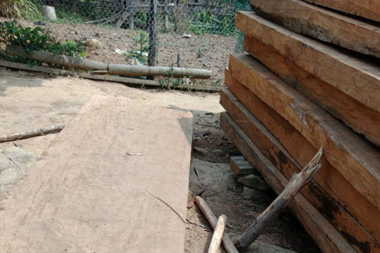 Điện Biên: Phát hiện 20 bộ sập gỗ có đường kính 1,2m dài 2,8m