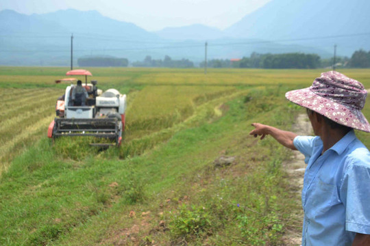 Thừa Thiên Huế: Thu tiền thu hoạch lúa và thủy lợi không hợp lý, dân bức xúc