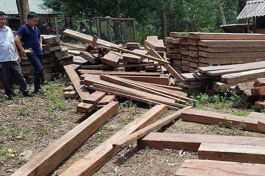 Quảng Bình: Phát hiện gần 5m3 gỗ trái phép giấu trong trụ sở UBND xã