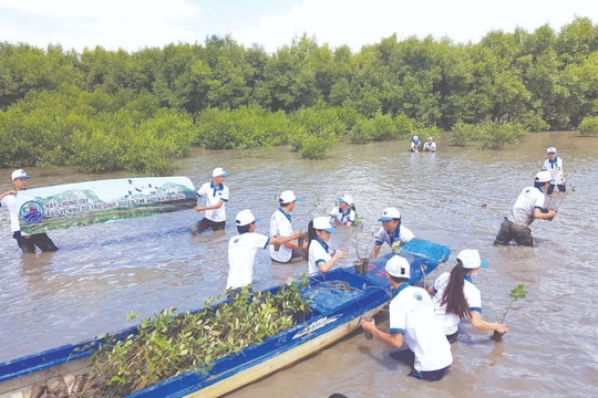 Xây dựng Kế hoạch Quốc gia Thích ứng với biến đổi khí hậu: Nâng cao vai trò của tổ chức xã hội