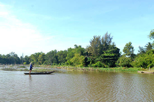 Quảng Nam: Trồng phục hồi hệ sinh thái Sông Đầm