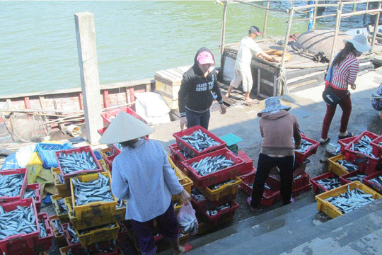 Thừa Thiên Huế: Tìm cách bảo tồn và phát triển kinh tế biển