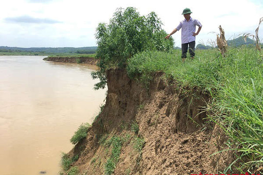 Cẩm Thủy (Thanh Hóa): Người dân “lo âu” vì nhiều diện tích đất nông nghiệp bị sạt lở do khai thác cát