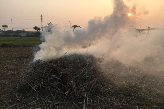 Hà Nội: Không khí bị ô nhiễm do đốt rơm rạ