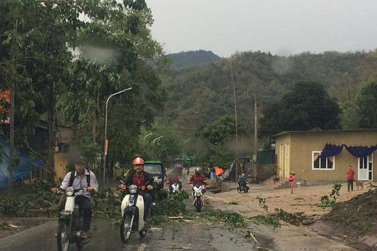 Mưa dông diện rộng, cảnh báo lũ quét và sạt lở đất tại Quảng Ninh và Hà Giang