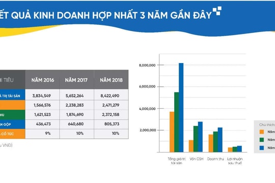 Tái cấu trúc - Chặng đường bứt tốc trở thành TOP 250 VNR của Tập đoàn CEO