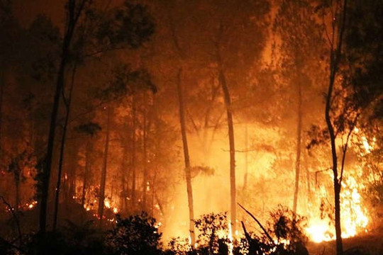 Nghệ An: Nắng nóng gay gắt, “căng mình” chữa cháy rừng