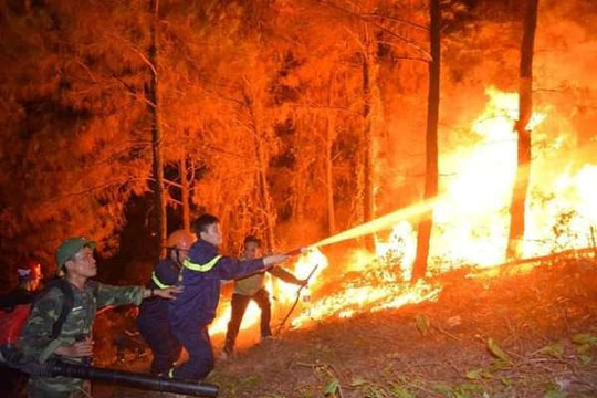 Hà Tĩnh: Tạm giữ  một đối tượng nghi vấn gây ra vụ cháy rừng thông lớn