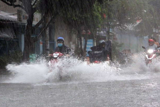 Dự báo thời tiết ngày 1/7: Mưa lớn ở Bắc Bộ và Thanh Hóa