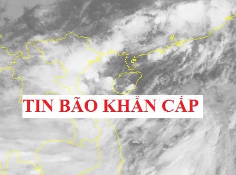 Tin bão khẩn cấp: Áp thấp nhiệt đới mạnh lên thành cơn bão số 2