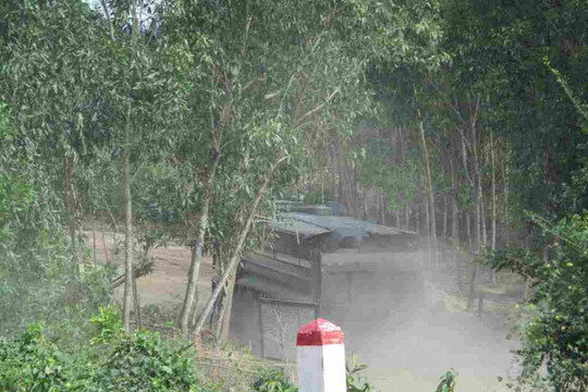 Bình Định: Cải tạo mặt bằng làm Nhà máy gạch để khai thác đất sét trái phép