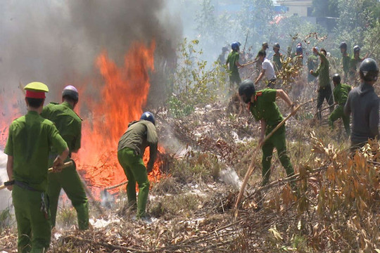 Quảng Trị: Cả trăm người “chiến đấu” với “giặc lửa” để cứu rừng