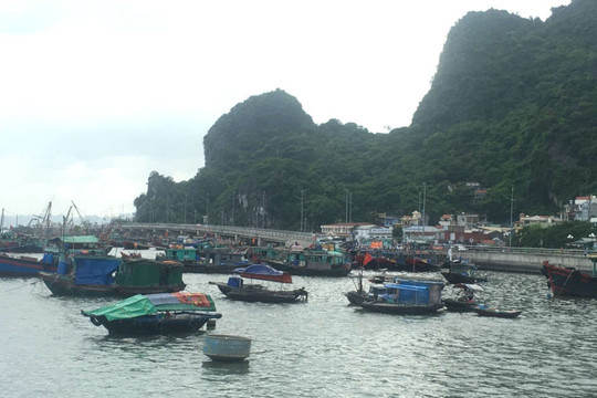 Quảng Ninh: Khẩn trương, chủ động phòng, chống bão số 3