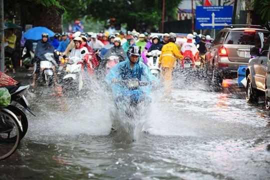 Dự báo thời tiết ngày 4/8: Bắc Bộ và Bắc Trung Bộ mưa lớn diện rộng