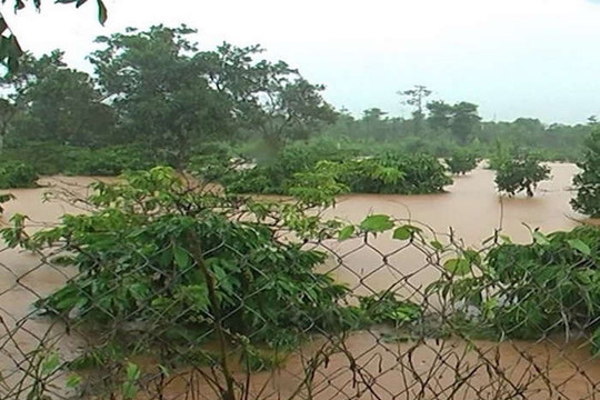 Đắk Nông: Nhiều địa phương bị ngập cục bộ do mưa lớn kéo dài