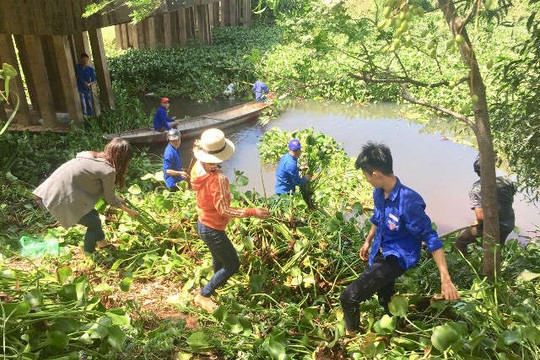 Quảng Trị: Hàng trăm đoàn viên thanh niên dọn dẹp lục bình, rác thải trên sông Vĩnh Định