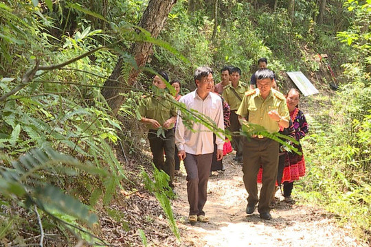 Điện Biên: Đẩy mạnh giao đất, giao rừng và cấp giấy CNQSD đất