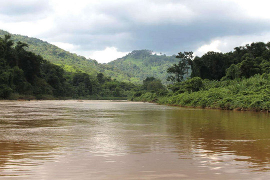 Quản lý lưu vực sông cần “cây gậy” chỉ huy: Đồng thuận bảo vệ lưu vực sông Đồng Nai