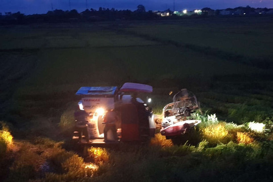 Quảng Trị: Người dân thức đêm gặt lúa, chạy đua với bão số 4