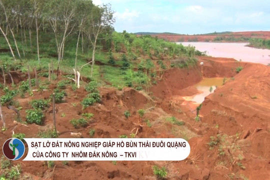 Sạt đất nông nghiệp giáp hồ bùn thải đuôi quặng của Công ty Nhôm Đắk Nông – TKV
