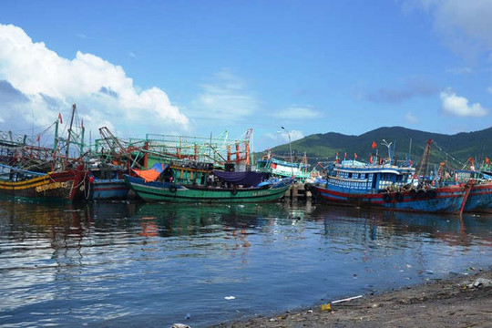 Đà Nẵng: Âu thuyền Thọ Quang quá tải trước mùa mưa bão