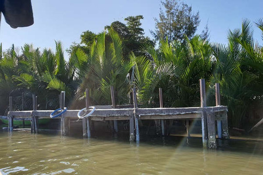 Đề nghị xử phạt doanh nghiệp lấn chiếm rừng dừa Bảy Mẫu để kinh doanh