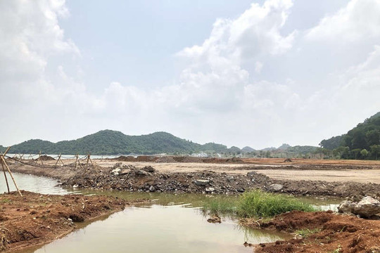 Ninh Bình: Hồ Yên Thắng bị san lấp hàng chục nghìn mét vuông