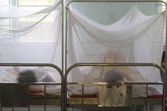 Nghệ An: Xuất hiện dịch sốt xuất huyết ở Diễn Châu
