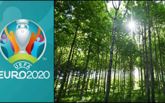 UEFA sẽ trồng 600.000 cây xanh để bù đắp lượng khí thải cácbon từ Euro 2020