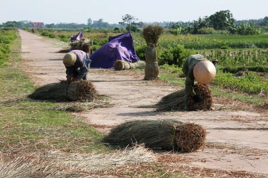 Hoài niệm một thời quê mẹ ngày xưa