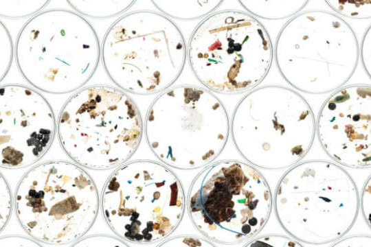 Hạt vi nhựa gây mối lo lắng lớn trên thế giới