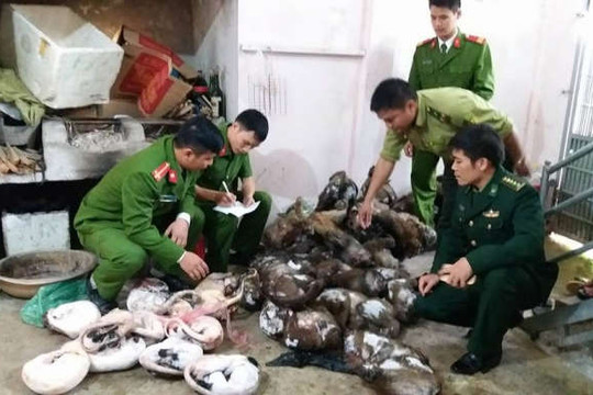 Nhức nhối buôn bán động vật hoang dã bất hợp pháp
