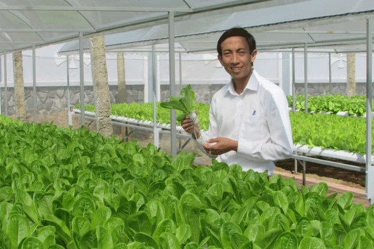 Nam Trung bộ: Thúc đẩy nông nghiệp công nghệ cao thích ứng với BĐKH