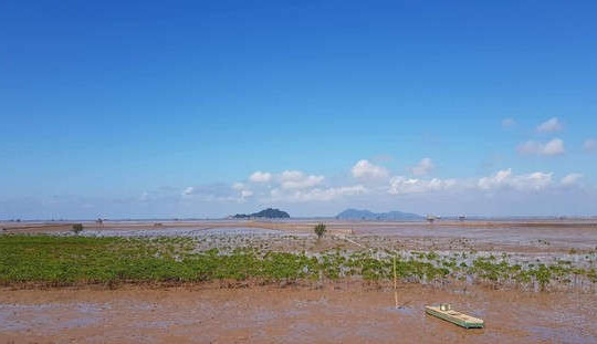 Thái Bình: Tăng cường quản lý đất bãi triều