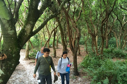 Quảng Ninh bảo vệ và nâng cao chất lượng rừng để phát triển du lịch sinh thái