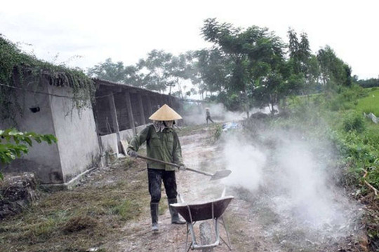 Nghệ An: Triển khai tháng tổng vệ sinh, khử trùng tiêu độc môi trường