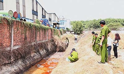 Tăng cường thanh tra, kiểm tra trong lĩnh vực môi trường