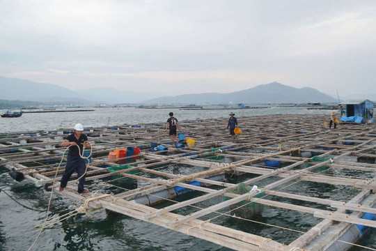 Phú Yên: Kiên quyết không để người dân ở lại khu vực nguy hiểm 