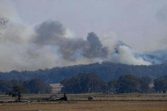 Cháy rừng “thảm khốc” ở Úc, do đâu?
