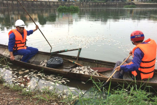 Quảng Trị: Kiểm tra nguyên nhân cá chết gây ô nhiễm hồ Đại An 