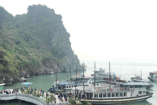  Quảng Ninh: Đẩy mạnh ứng dụng KHCN trong bảo vệ môi trường Vịnh Hạ Long