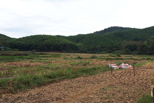 Dự án Khu du lịch sinh thái văn hóa Đá Thiên: Thu mua đất lúa trái pháp luật?