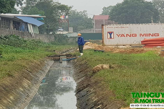 Triệu Sơn (Thanh Hóa): Dân “tố” doanh nghiệp xả dầu ra ruộng gây ô nhiễm môi trường