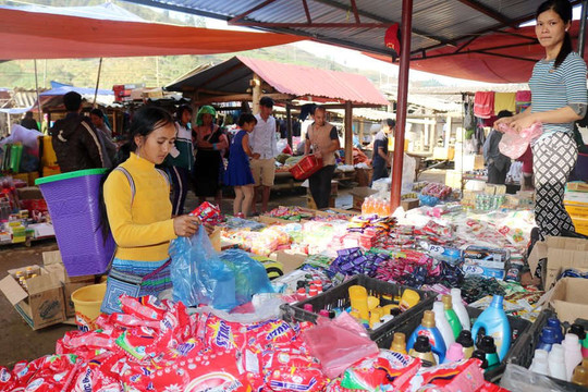 Lào Cai: Hạn chế sử dụng túi ni lông khó phân hủy