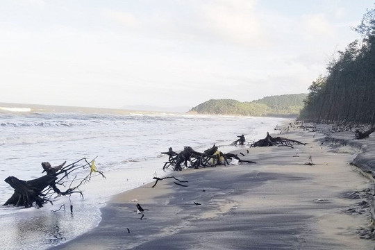 Thừa Thiên Huế: Biển Vinh Hải sạt lở nặng nề, gấp rút thi công kè