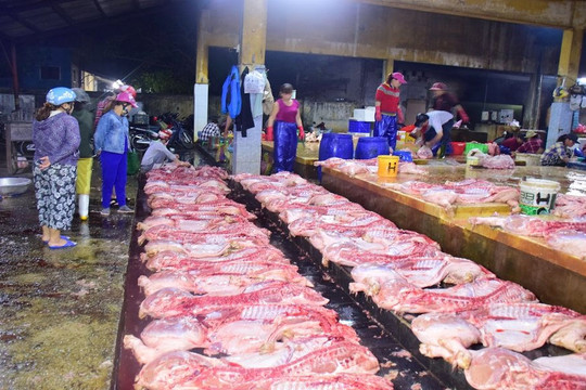 Thừa Thiên Huế: Đảm bảo nguồn cung thịt lợn trong dịp Tết Nguyên đán Canh Tý