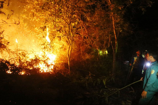 Huyện Điện Biên: Chủ động phòng cháy, chữa cháy rừng mùa khô