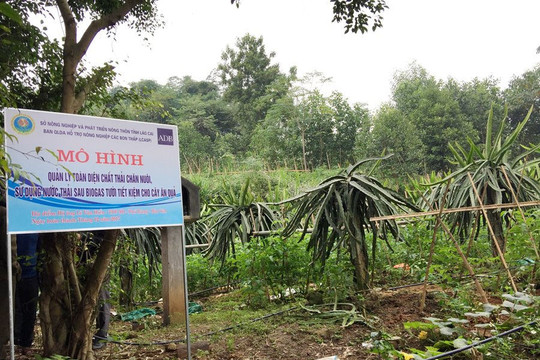 Lào Cai : Bảo vệ môi trường bằng các công trình khí sinh học