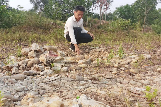 Thừa Thiên Huế: Dân phản đối dự án khai thác cát, doanh nghiệp rút lui