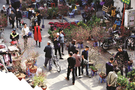 Chợ hoa phố cổ
